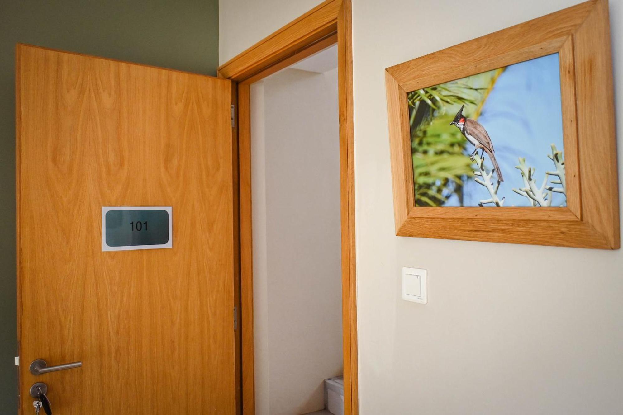 Bois Mapou Self Catering Apartments Unit 101 Rivière Noire Extérieur photo